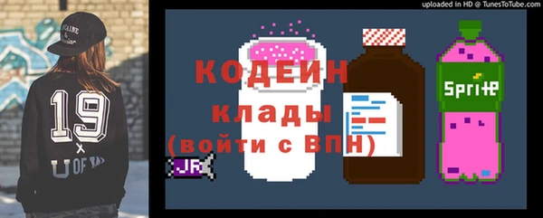 хмурый Михайловск