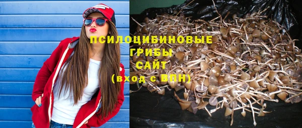 хмурый Михайловск