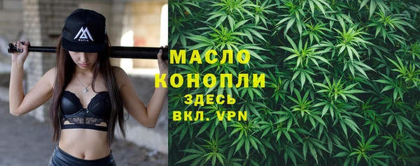 хмурый Михайловск