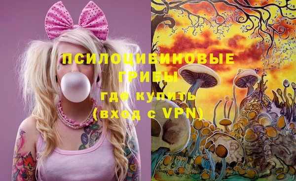 гидра Михайлов