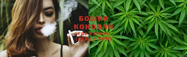 гидра Михайлов