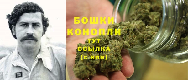 гидра Михайлов